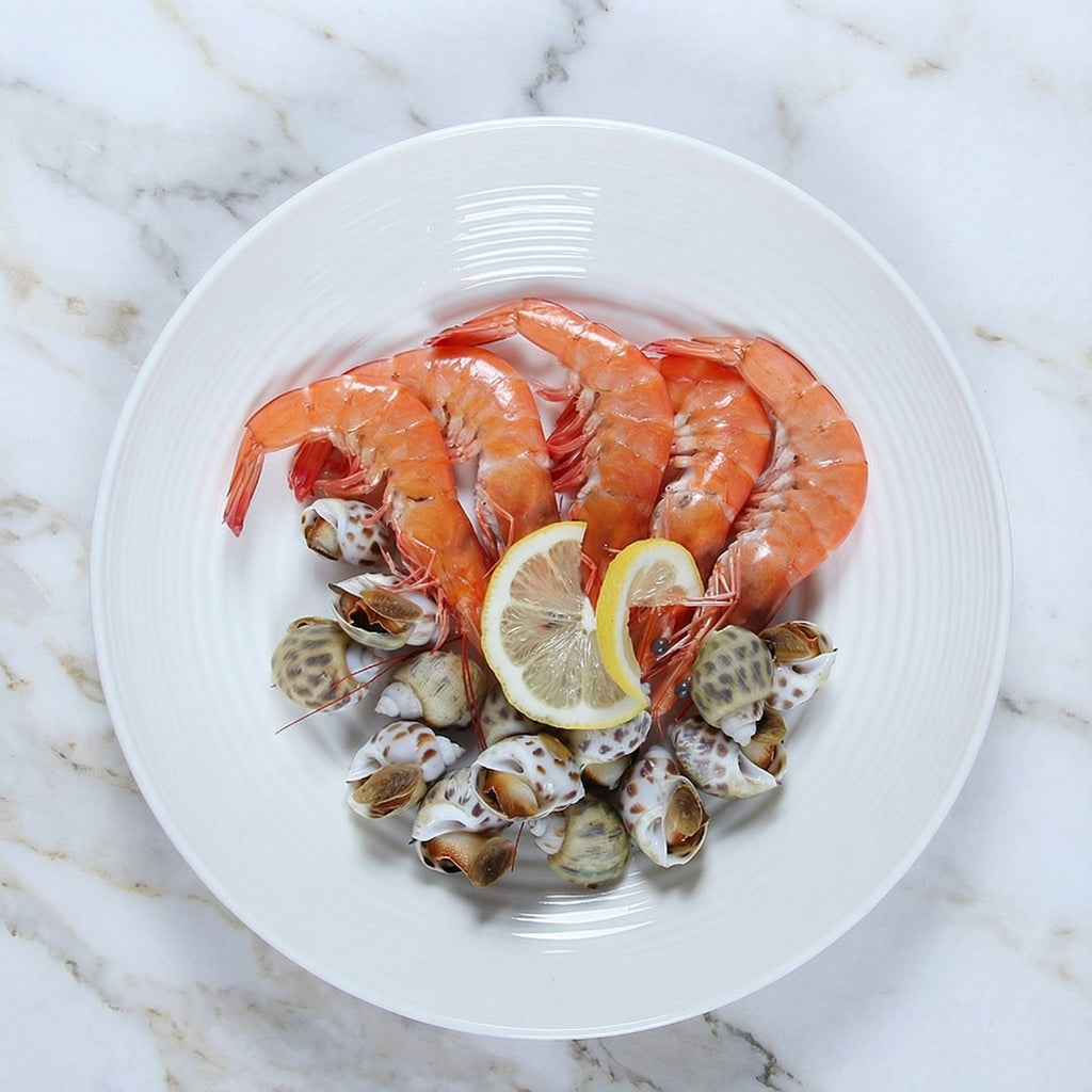 Elegant White Ceramic Dinnerware Set